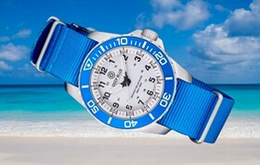 DAYNIGHT 43MM DIVER SOLAR POWERED STAINLESS STEEL CASE TRITIUM WATCH