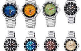 - PRO DIVER SERIES