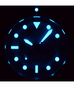 PRO DIVER 200 BLACK DIAL 42.5MM AUTOMATIC BRACELET DIVE WATCH