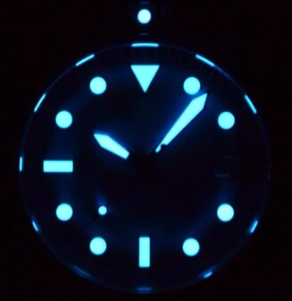 PRO DIVER 200 BLUE ABALONE DIAL 42.5MM AUTOMATIC BRACELET DIVE WATCH